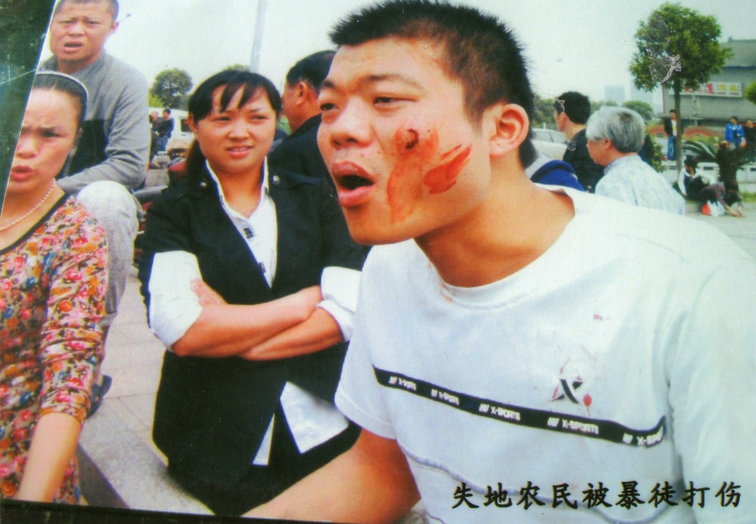 img017.jpg